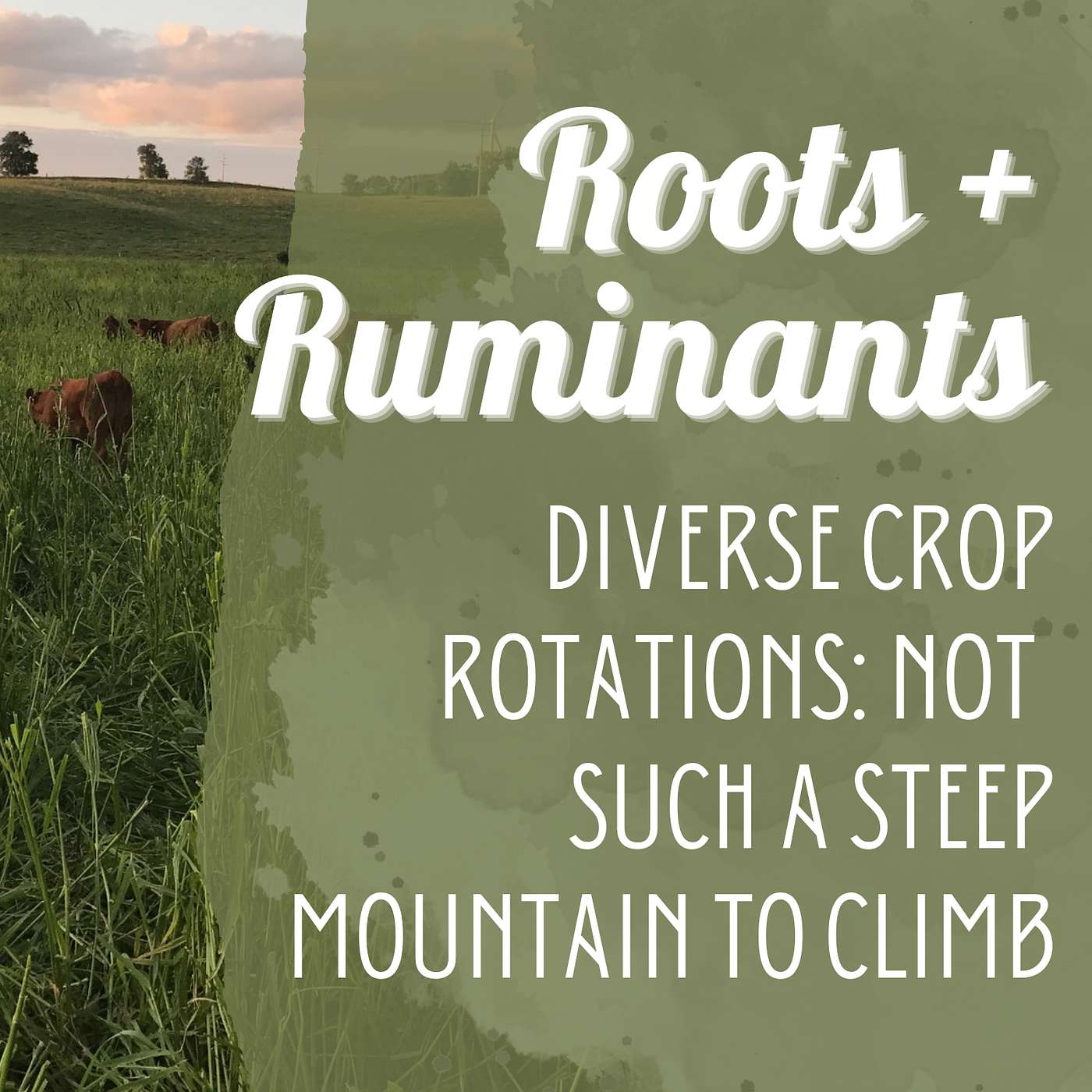 Diverse Crop Rotations: Not Such a Steep Mountain to Climb cover art