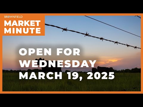 Cattle are higher Wednesday morning | Opening Market Minute