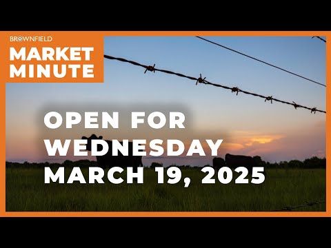 Cattle are higher Wednesday morning | Opening Market Minute cover art
