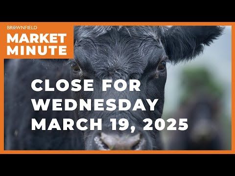 Cattle were higher Wednesday | Closing Market Minute cover art