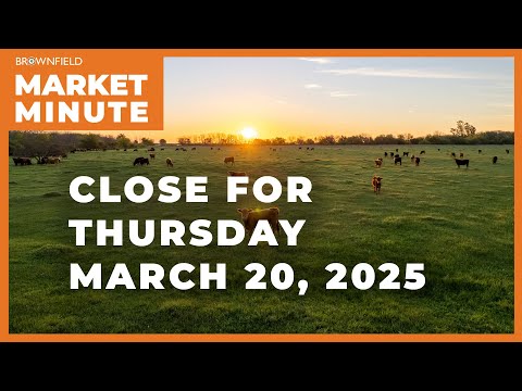 Cattle were higher Thursday | Closing Market Minute