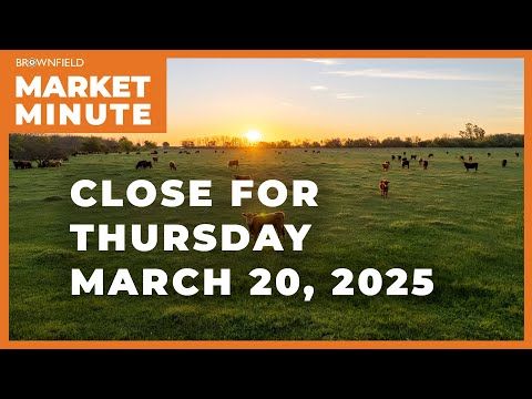 Cattle were higher Thursday | Closing Market Minute cover art