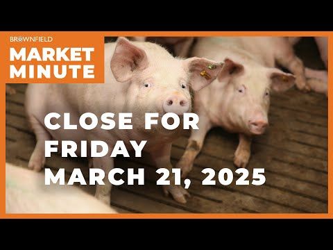 Hogs were higher Friday | Closing Market Minute cover art