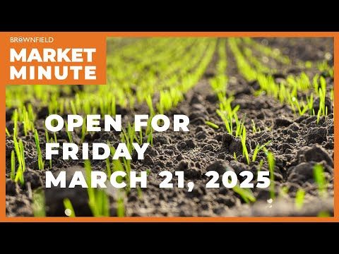 Wheat is higher Friday | Opening Market Minute cover art