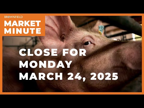 Hogs were lower Monday | Closing Market Minute