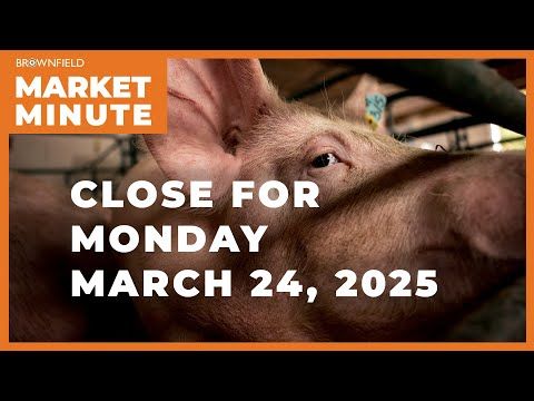 Hogs were lower Monday | Closing Market Minute cover art