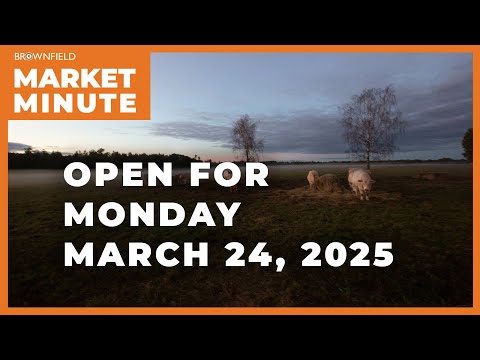 Cattle are starting the week higher | Opening Market Minute
