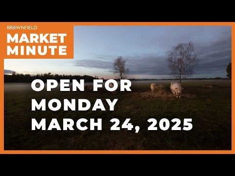 Cattle are starting the week higher | Opening Market Minute cover art