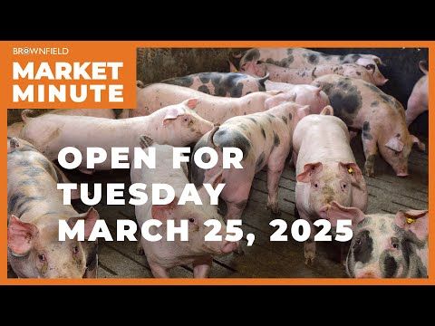 Hogs are up Tuesday morning | Opening Market Minute cover art
