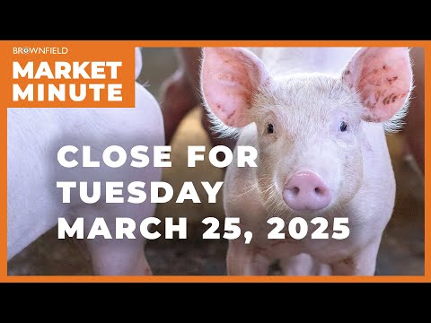 Hogs were higher Tuesday | Closing Market Minute