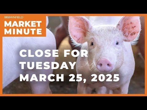 Hogs were higher Tuesday | Closing Market Minute cover art