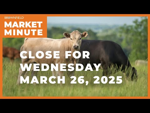 Cattle closed higher Wednesday | Closing Market Minute