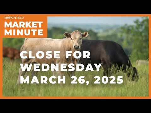 Cattle closed higher Wednesday | Closing Market Minute cover art