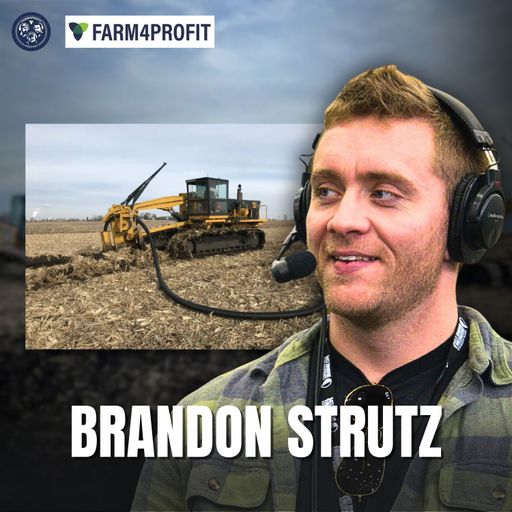 Farmers Helping Farmers: Inside Strutzenberg Drainage & Excavating cover art