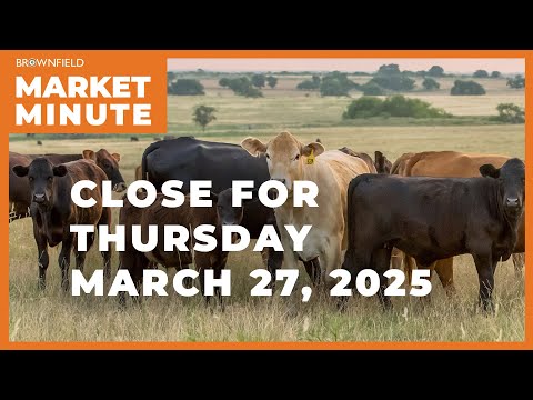 Cattle were higher Thursday | Closing Market Minute