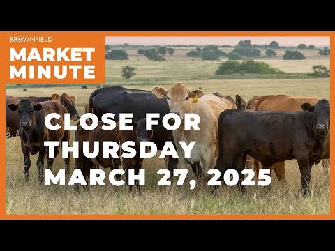 Cattle were higher Thursday | Closing Market Minute cover art