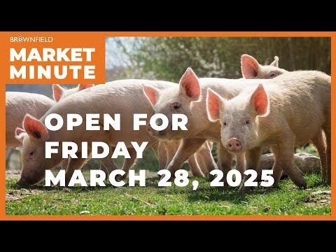 Hogs are higher Friday morning | Opening Market Minute cover art