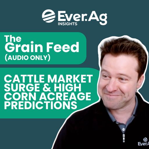 The Grain Feed (AUDIO ONLY) - Cattle Market Surge & High Corn Acreage Predictions - March 26, 2025 cover art