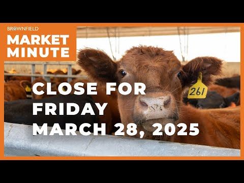 Cattle futures were lower Friday | Closing Market Minute cover art