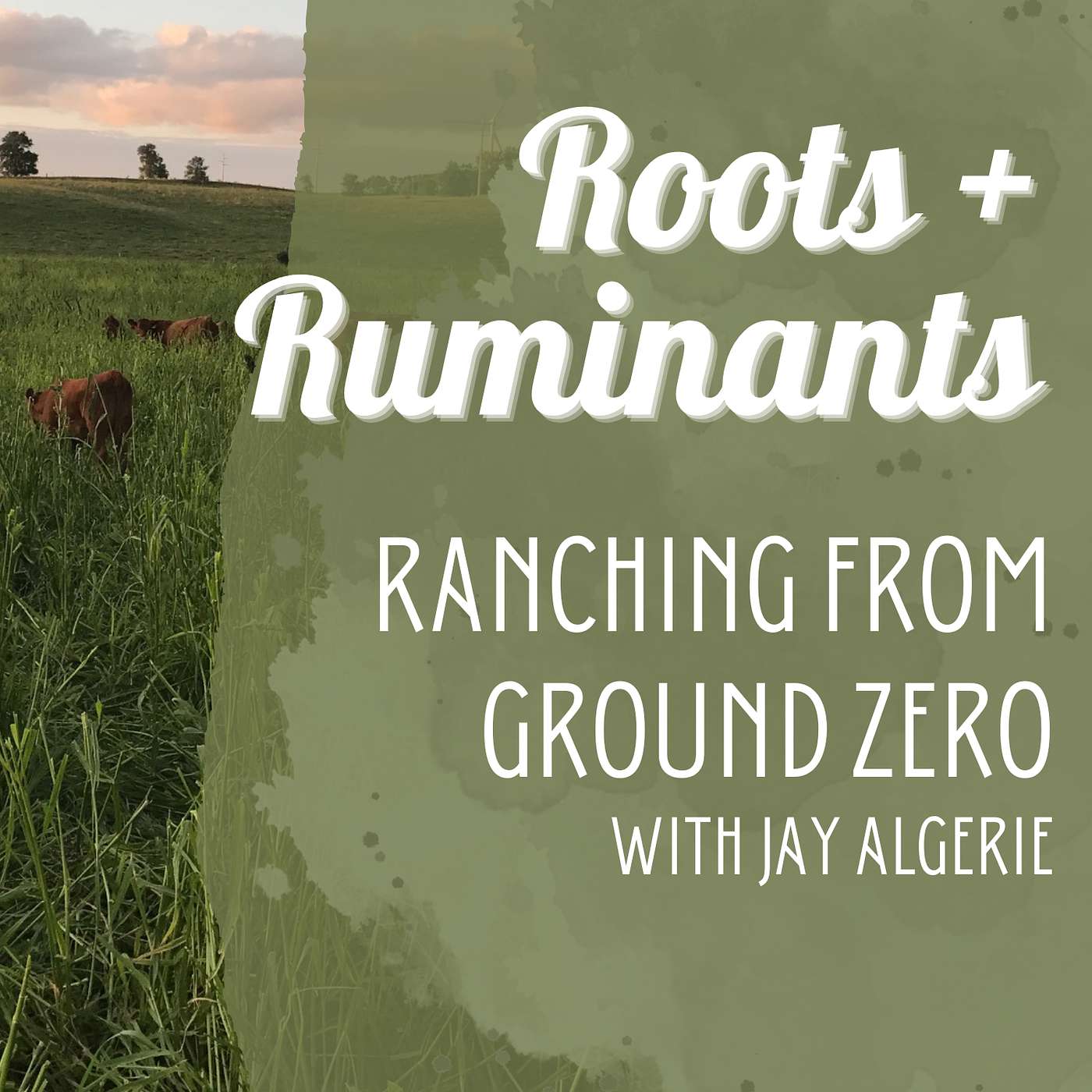 Ranching from Ground Zero with Jay Algiere cover art