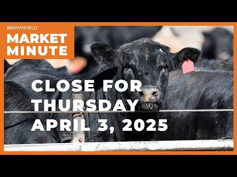 Soybeans and cattle lower amid tariff concerns | Closing Market Minute cover art