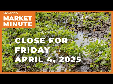 Soybeans, cattle, hogs sharply lower | Closing Market Minute