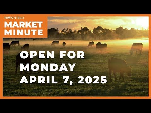 Cattle are sharply lower Monday morning | Opening Market Minute cover art