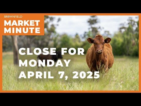 Cattle were sharply lower Monday | Closing Market Minute cover art