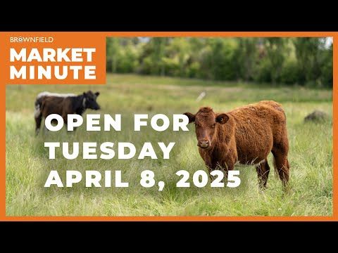 Cattle are higher Tuesday morning | Opening Market Minute cover art