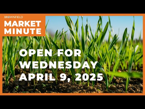 Wheat is higher Wednesday morning | Opening Market Minute