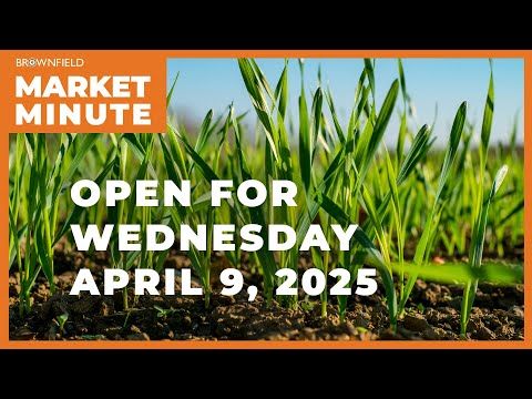 Wheat is higher Wednesday morning | Opening Market Minute cover art