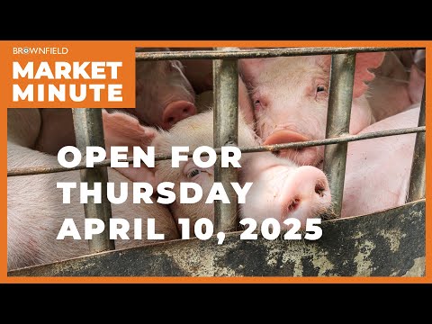 Hogs are mixed Thursday | Opening Market Minute