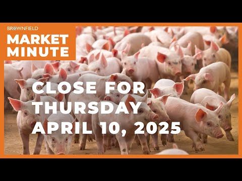 Hogs were higher Thursday | Closing Market Minute cover art