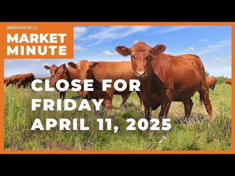 Cattle closed higher Friday | Closing Market Minute cover art