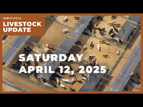 April feeder cattle jump more than $6 this week | Weekly Livestock Market Update