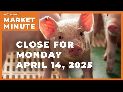 Hogs were higher Monday | Closing Market Minute cover art