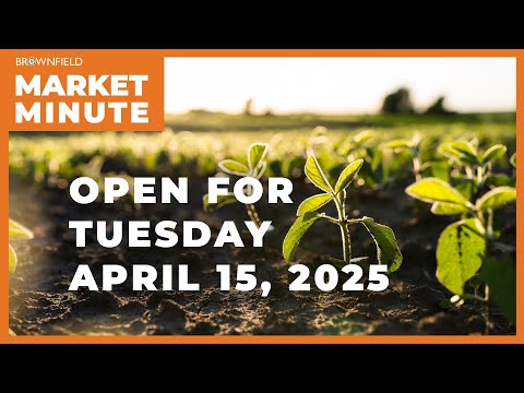 Soybeans are lower Tuesday morning | Opening Market Minute