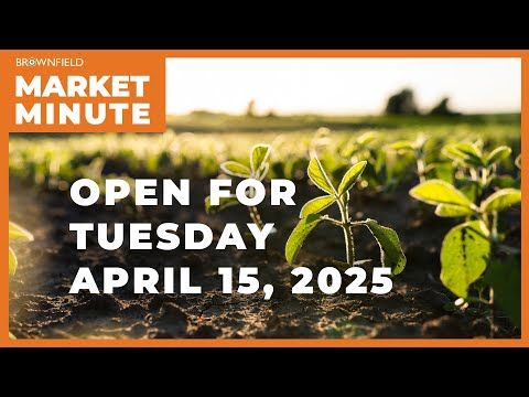 Soybeans are lower Tuesday morning | Opening Market Minute cover art