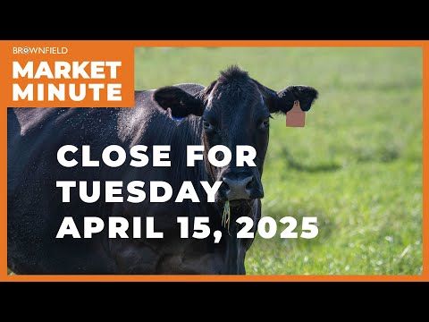 Cattle were up Tuesday | Closing Market Minute cover art