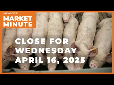 Hogs were higher Wednesday | Closing Market Minute