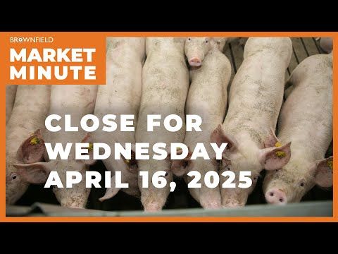 Hogs were higher Wednesday | Closing Market Minute cover art