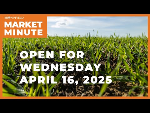 Wheat is up Wednesday morning | Opening Market Minute
