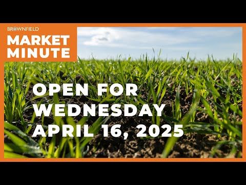 Wheat is up Wednesday morning | Opening Market Minute cover art