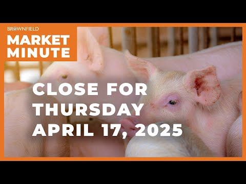 Hogs were higher Thursday | Closing Market Minute cover art