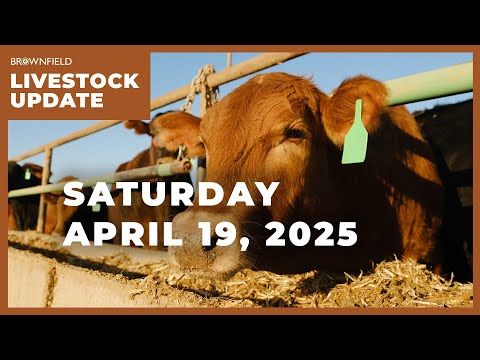 March placements were up 5% in latest Cattle on Feed report | Weekly Livestock Market Update cover art