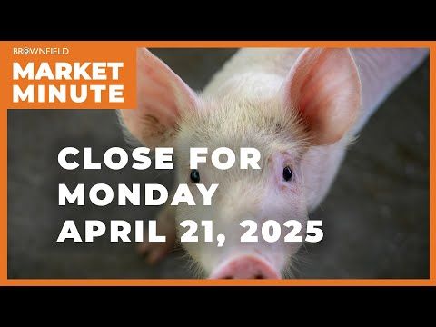 Hogs were higher Monday | Closing Market Minute cover art