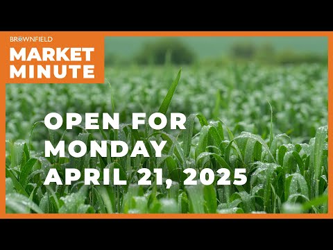 Wheat is up Monday morning | Opening Market Minute