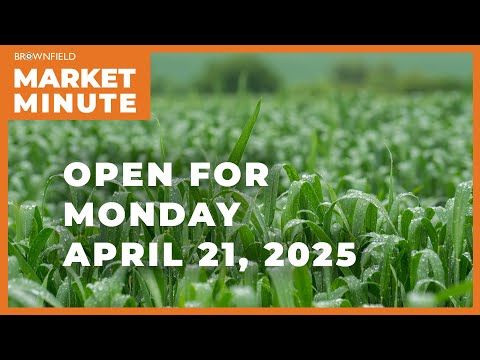 Wheat is up Monday morning | Opening Market Minute cover art