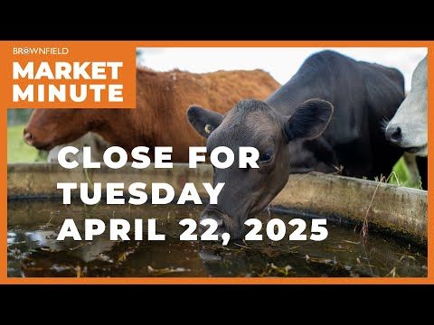 Cattle were higher Tuesday | Closing Market Minute cover art