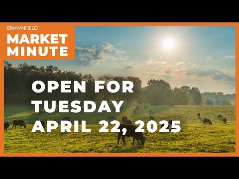 Cattle are up Tuesday morning | Opening Market Minute cover art